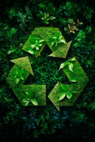 ENVIRONMENTAL PROTECTION